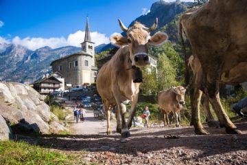 Fiera dell’Alta Valsesia
